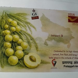 Picture postcard on Pratapgarh Amla