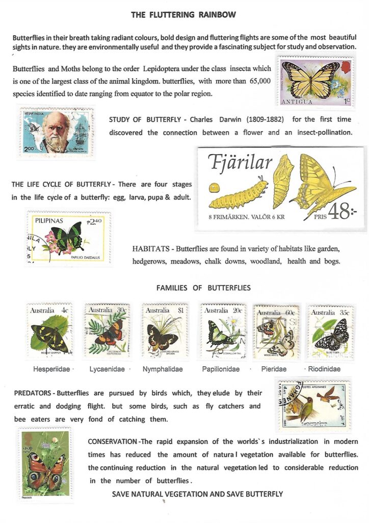 PhilaUtsav 2026 exhibit PUR05: The Fluttering Rainbow by Satish Kumar